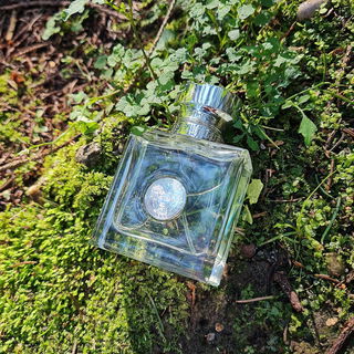 Versense von Versace