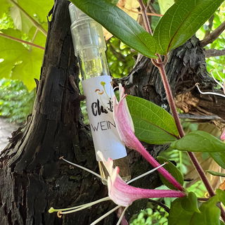 Weinstock und Geißblatt