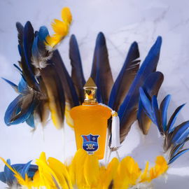 Casamorati - Dolce Amalfi (Eau de Parfum) - Xerjoff