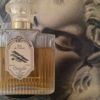 Aéroplane von Detaille