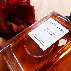 Rose Rouge - Van Cleef & Arpels