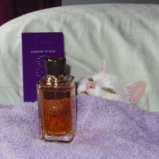 Jardin d'Iris - Sama