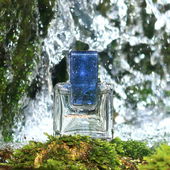 Erfrischend, leicht und spritzig fliesst er etwas schnell davon.  Für junge und junggebliebene. (von Zora)