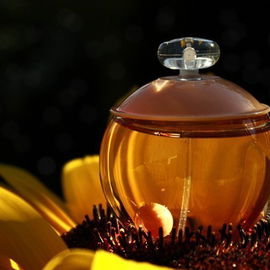 Secrets d'Essences - Iris Noir (Eau de Parfum) - Yves Rocher