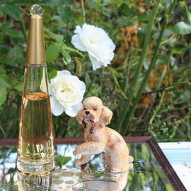 L'Eau d'Issey Absolue - Issey Miyake