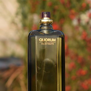 Quorum (Eau de Toilette) by Puig