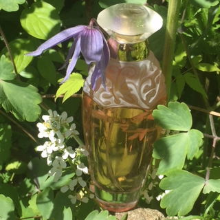 Musc et Freesia - E. Coudray