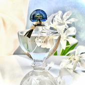 .... zitrischer Feenstaub ....... :) (by IrisNobile)