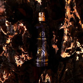 Arabians Tonka - Montale