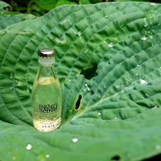 Miniatur:  Höhe 6.7 cm  # defekt-Fresslöcher Fresh21 / Foto-Challenge