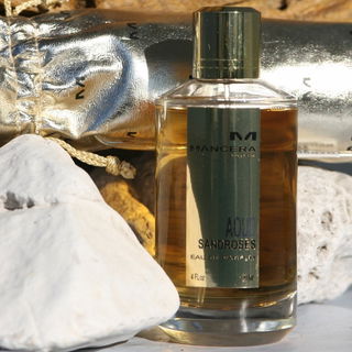 Aoud Sandroses von Mancera