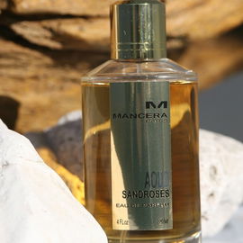 Aoud Sandroses - Mancera