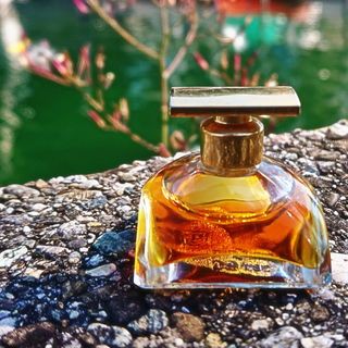 Spellbound (1991) (Eau de Parfum) - Estēe Lauder
