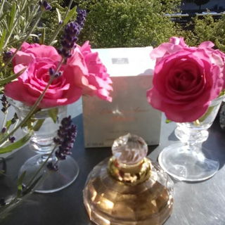 Lettre à Anna Délicate - ID Parfums