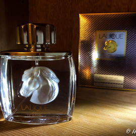 David Rothschild for Men - David Rothschild