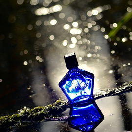 L'Eau - Tauer Perfumes