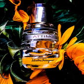 Sonne im Flakon. (by Baeumchen)