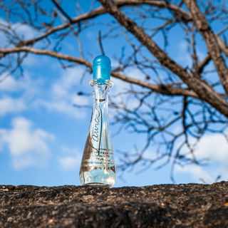 Laura (Eau de Toilette) - Laura Biagiotti