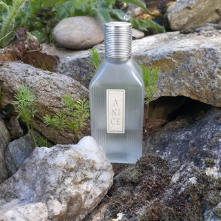 Anice by Etro