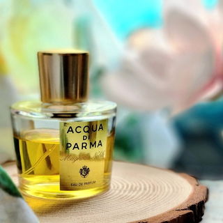 Magnolia Nobile (Eau de Parfum) - Acqua di Parma