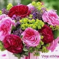 Meel