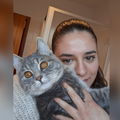 Msdaisy