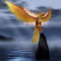 Fenice