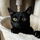 Lokitty