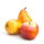 Obstler