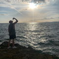 ScentExplorer