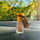 Oudh85