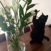 EstherHebe