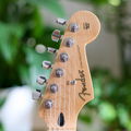 GuitarGeorge