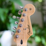 GuitarGeorge