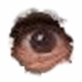 Leobart