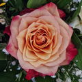 Leonies28