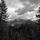 RiseAbove