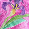 Fragrance16