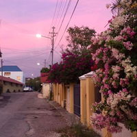 TheaSanchez