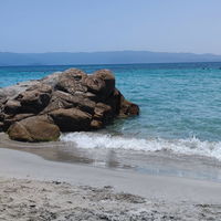 Miquelino