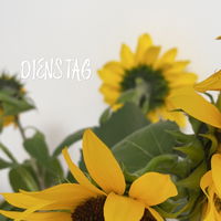 NeroliJasmin