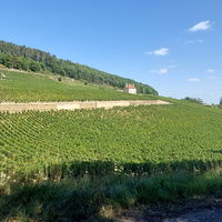 Schubertiana