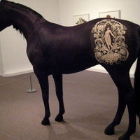 taxidermygir
