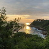 Widi84