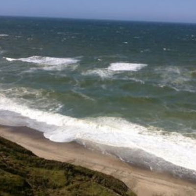 Forscher