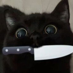 Criti