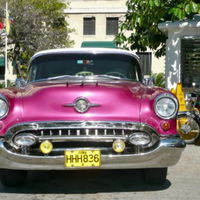 Pradia