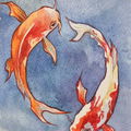 Rosegoldfish