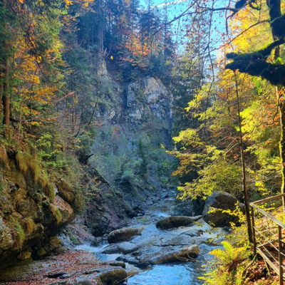 Goldstück87
