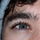 Scharl